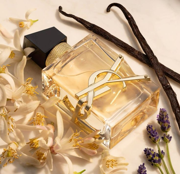 Pack of 6 Ladies Perfumes
